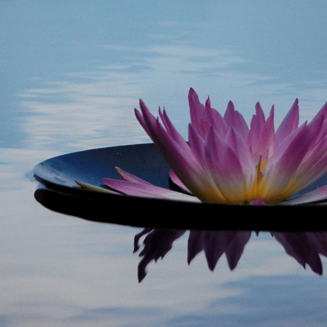 Effectiveness of an intensive treatment