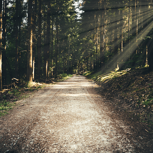 Transforming Lives: Discover the Power of Intensive Trauma-Focused Treatment for Complex PTSD
